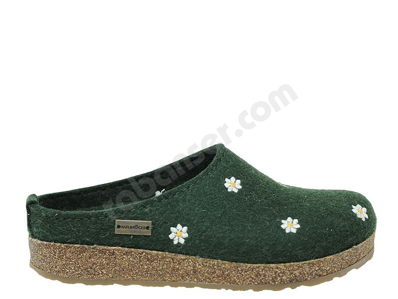 Haflinger Margherite eibe verde