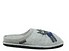 Haflinger Cucho grigio pietra screziato