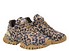 JOIA PARIS 202602118 claw animalier Lato