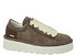 Panchic P003 Muse Lace Up brown