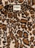 Rue Madam Paris Safari Winter Jacket leopard Vorne