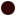 Darkbrown (11)