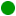Verde (5)